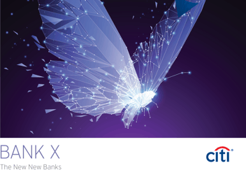 Citi - Bank X: The New New Bank