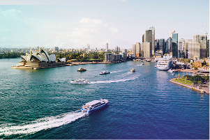 Sydney skyline_case study page