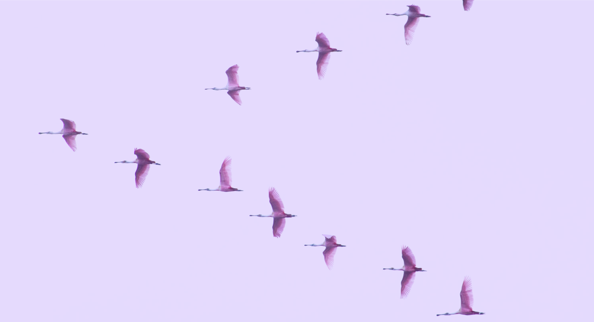 Taking the risk out of core banking migration