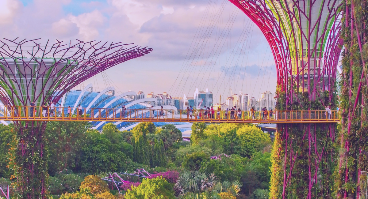 signapore ecosystem